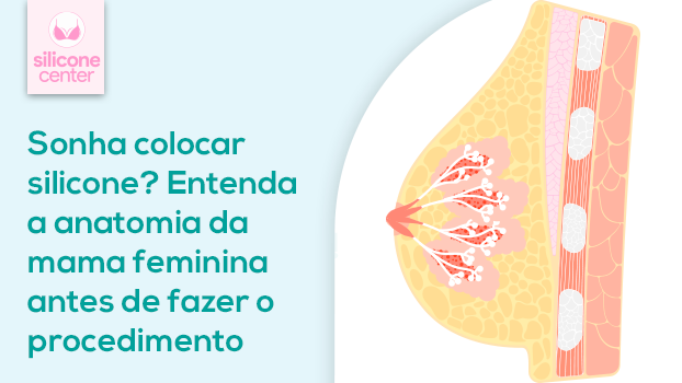 Sonha Colocar Silicone? Entenda a Anatomia da Mama Feminina Antes de Fazer o Procedimento