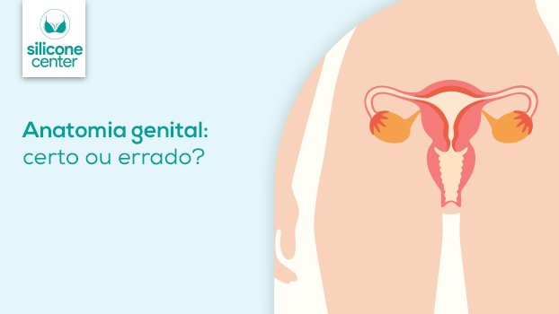 Anatomia genital: verdades e mentiras sobre a região íntima